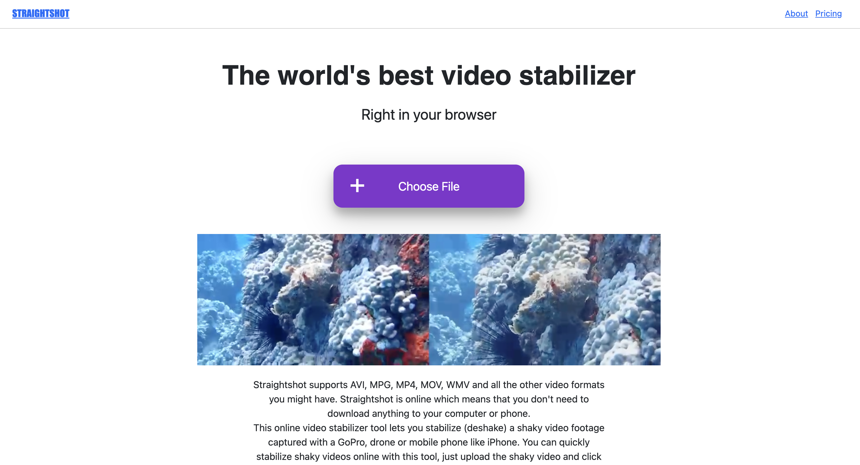 Straight Shot Video